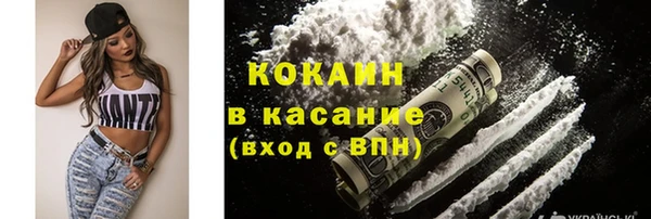 шишки Алзамай