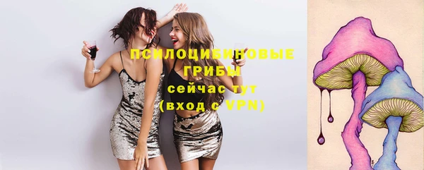 шишки Алзамай