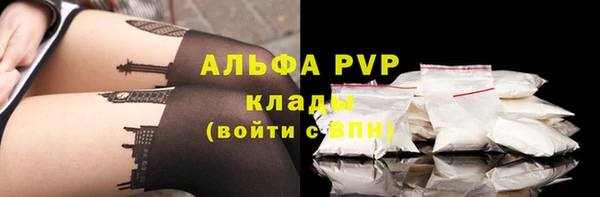 бошки Алексин