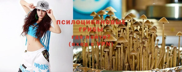 бошки Алексин