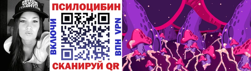 мега онион  Губкин  Галлюциногенные грибы Psilocybine cubensis 