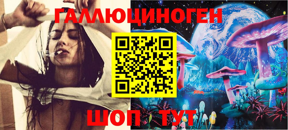 Галлюциногенные грибы GOLDEN TEACHER  Вход с VPN  Псилоцибиновые грибы мухоморы  Губкин 